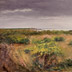 Wood Island Light and the Field #5 