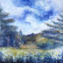 Adirondack Field #3 