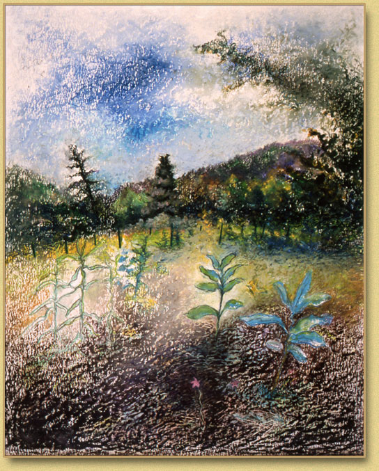 Adirondack Field #6 
