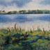Late Summer Great Pond Southeastern Quadrant