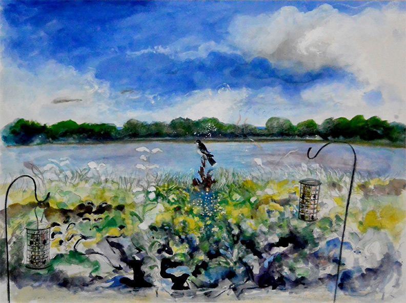 Christy Bergland Maine Landscapes, An Eastern Kingbird Visits Great Pond