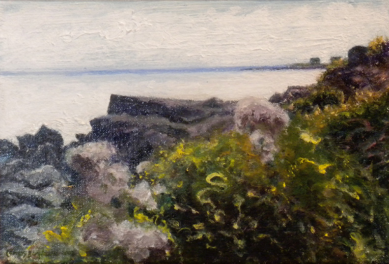 Christy Bergland Maine Landscapes, East Point to South Point