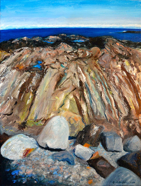 Fossils in the Rocks