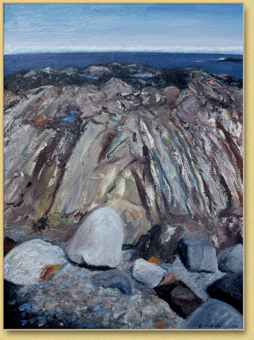 Fossils in the Rocks 