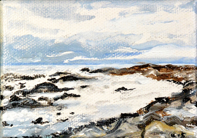 Christy Bergland Maine Landscapes,Little #7 2020