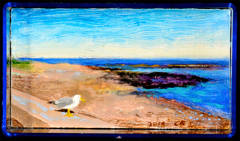 Christy Bergland, acrylic boxes, Little Ocean Ave Seagull