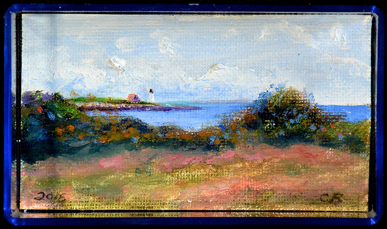 Christy Bergland, acrylic boxes, Little Wood Island
