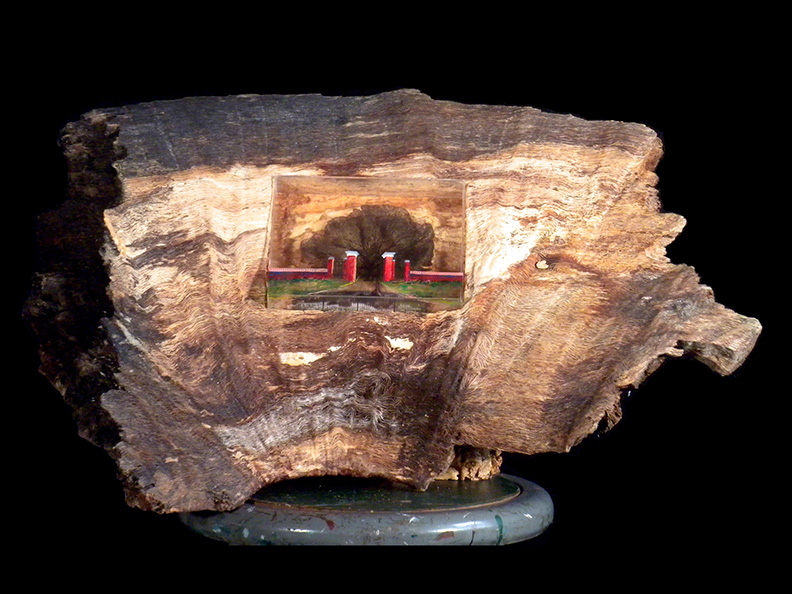 Christy Bergland, acrylic boxes, The Wye Oak at Wye House - a Colonial Pig Reflects on the Lloyd Family's Stewardship of this Great White Oak in the 17th Century