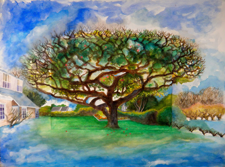 Winter Apple Tree