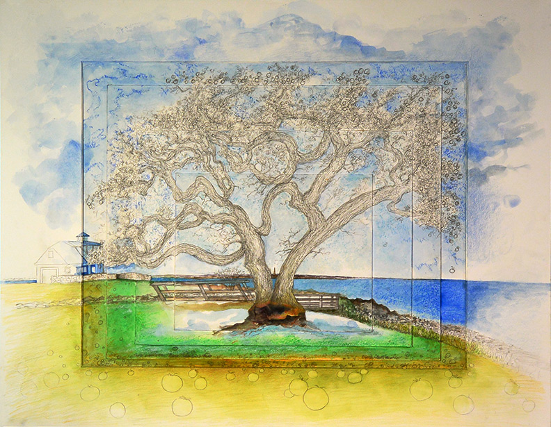 Trudy Black's Ghost Apple Tree in 4 Seasons #2