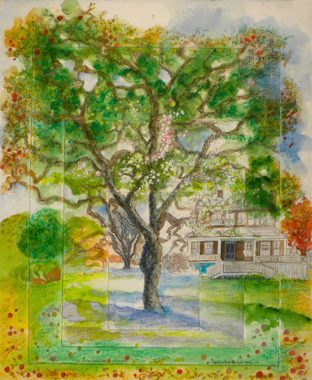 Wilby Apple Tree in 4 Seasons #1