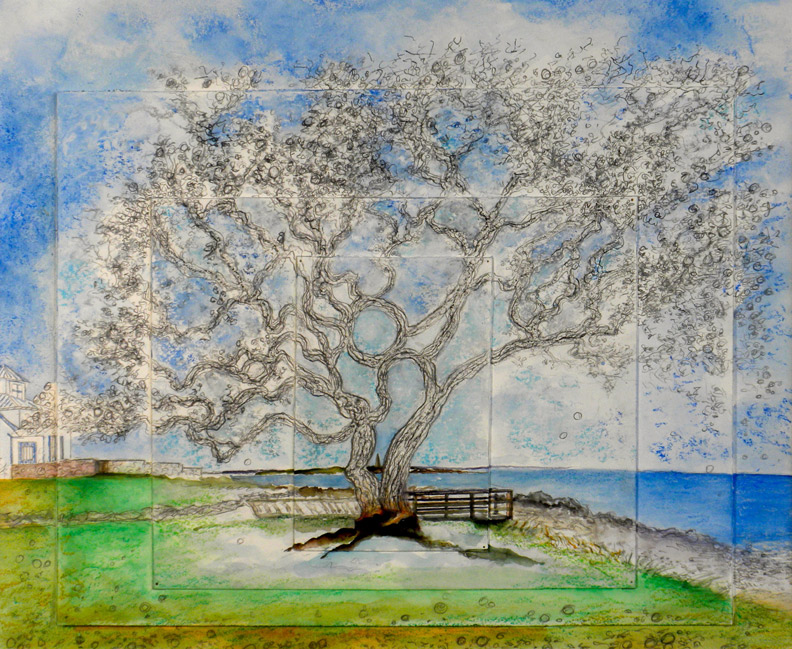 Trudy Black's Ghost Apple Tree #1