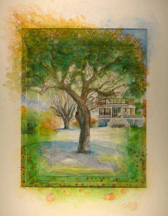 Wilby Apple Tree in 4 Seasons #2