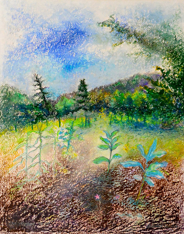 Adirondack Field #6