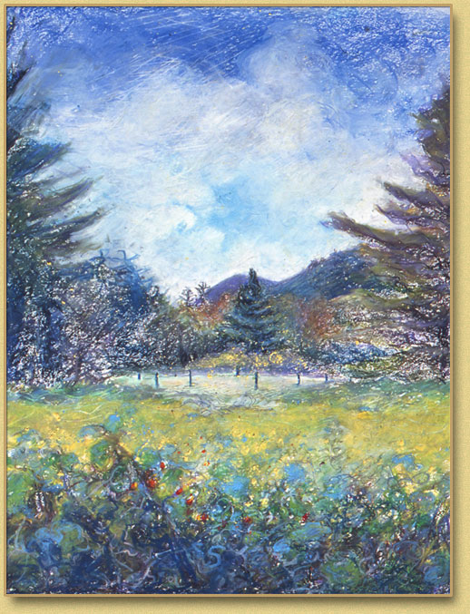 Adirondack Field #1 