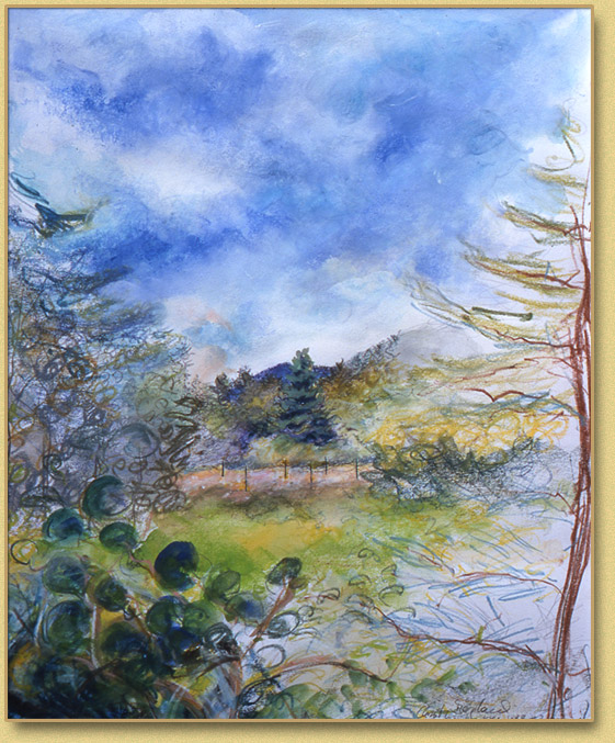 Adirondack Field #2 