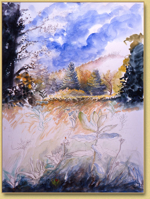 Adirondack Field #5 