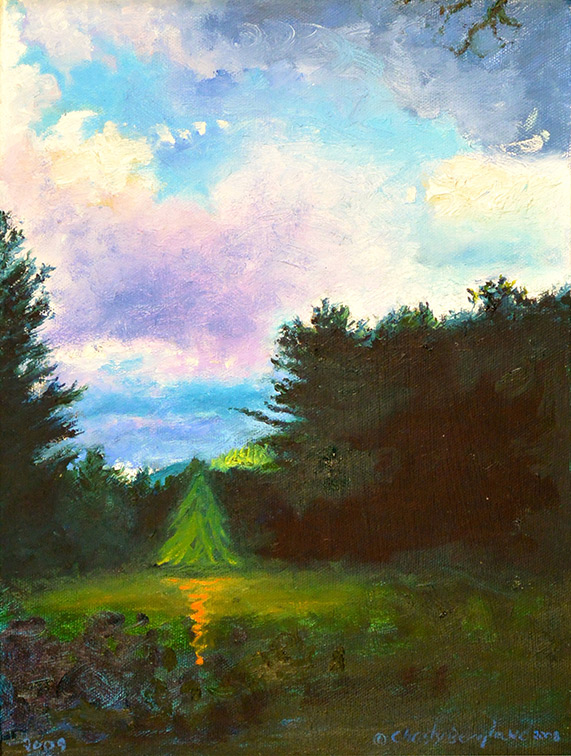 Christy Bergland other landscapes, Late Evening - Adirondack Field and Sky