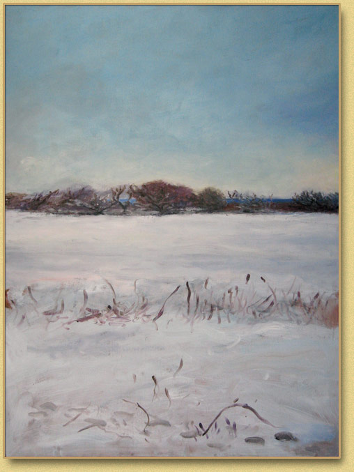 Late Winter Great Pond - Southwestern Quadrant